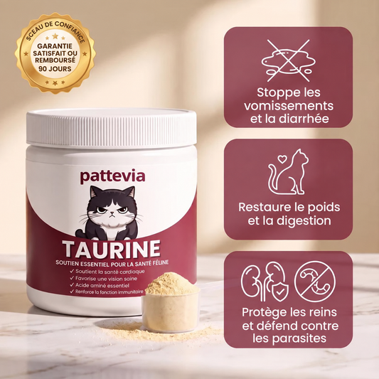 Pattevia – Complément de Taurine