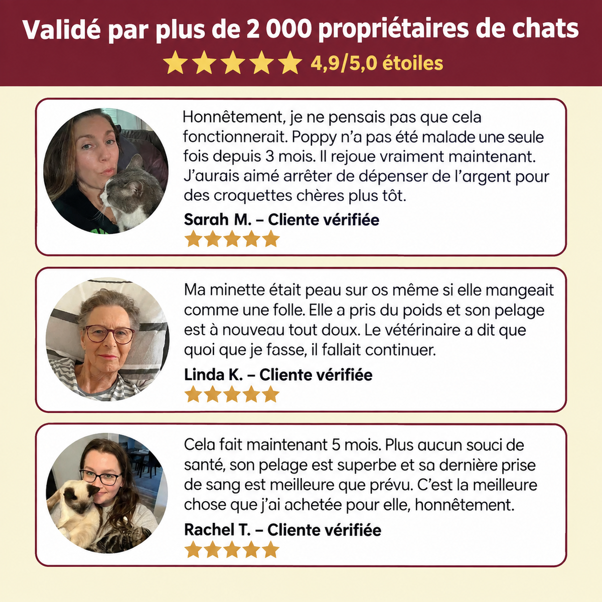 Pattevia – Complément de Taurine