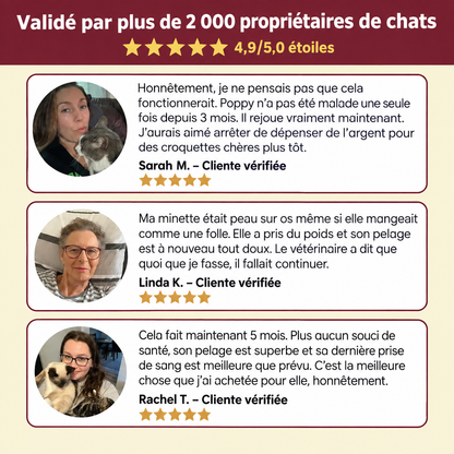Pattevia – Complément de Taurine
