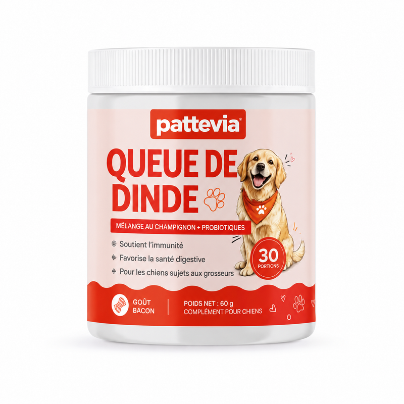 Pattevia™ Probiotiques au champignon Turkey Tail – 60 g