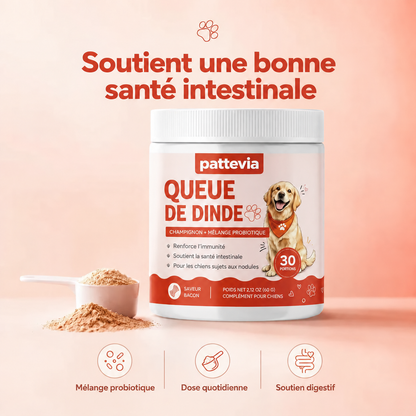 Pattevia™ Probiotiques au champignon Turkey Tail – 60 g