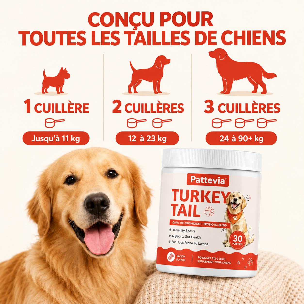 Pattevia™ Probiotiques au champignon Turkey Tail – 60 g