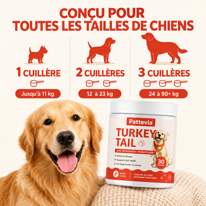 Pattevia™ Probiotiques au champignon Turkey Tail – 60 g