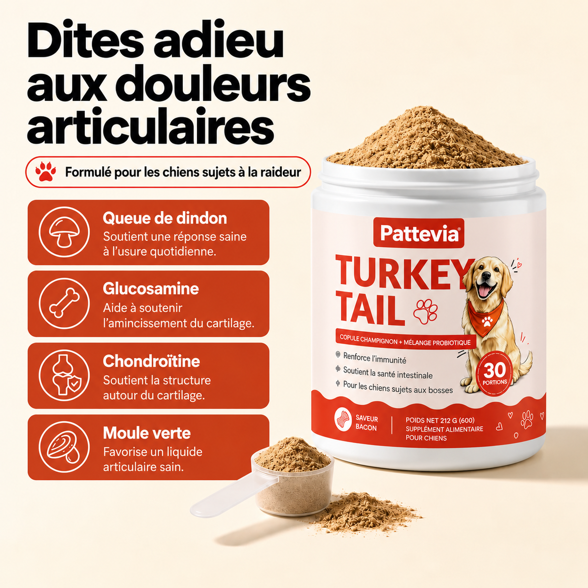 Pattevia™ Probiotiques au champignon Turkey Tail – 60 g