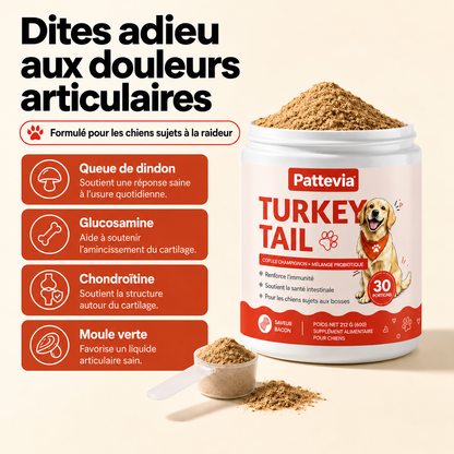 Pattevia™ Probiotiques au champignon Turkey Tail – 60 g