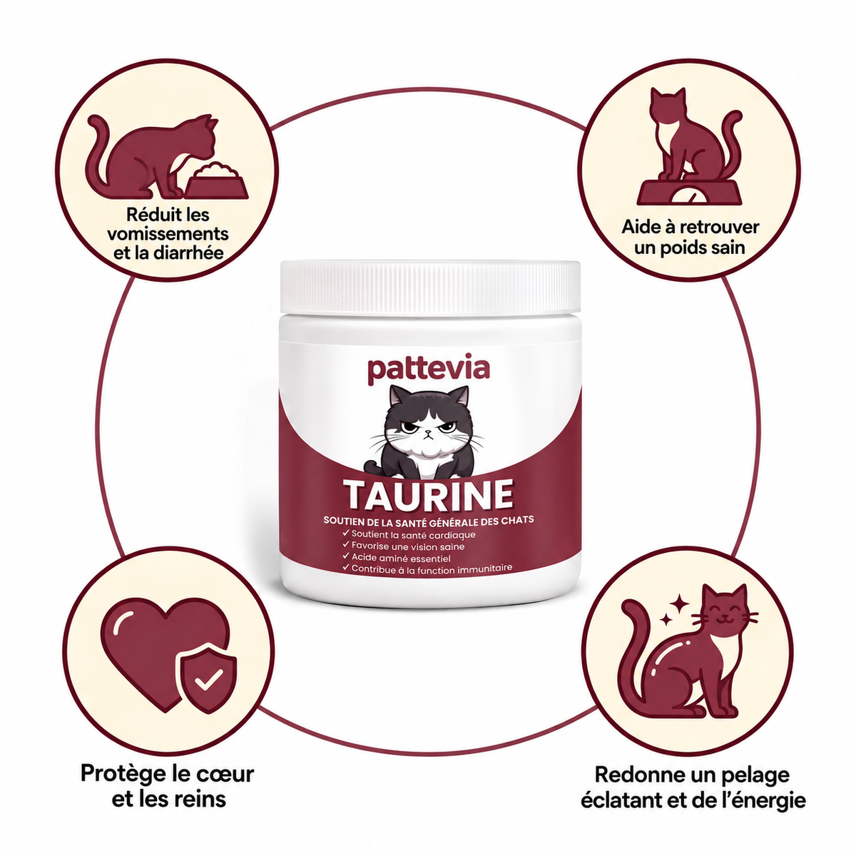 Les bienfaits de la taurine Pattevia