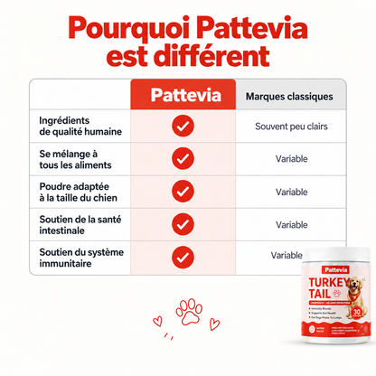 Pattevia™ Probiotiques au champignon Turkey Tail – 60 g